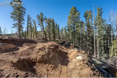 565 Fairview Drive, Cripple Creek, CO 80813 - Photo 8