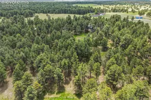 18440 Black Squirrel Rd, Colorado Springs, CO 80908 - Photo 44