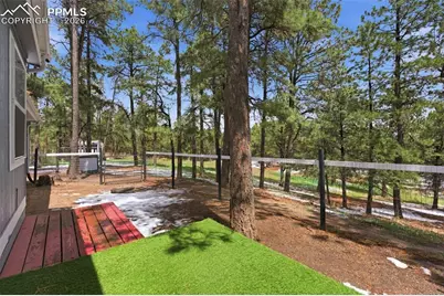 18440 Black Squirrel Road, Colorado Springs, CO 80908 - Photo 38