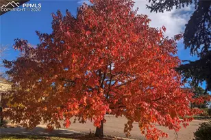 2930 Rhapsody Dr, Colorado Springs, CO 80920 - Photo 38