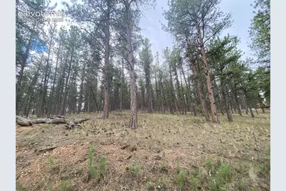 60 Pickens Road, Florissant, CO 80816 - Photo 1