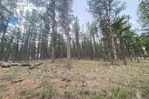 60 Pickens Rd, Florissant, CO 80816 - Photo 1