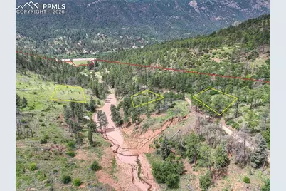 5975 Wellington Road, Cascade, CO 80809 - Photo 6