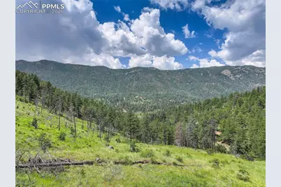 5975 Wellington Road, Cascade, CO 80809 - Photo 8