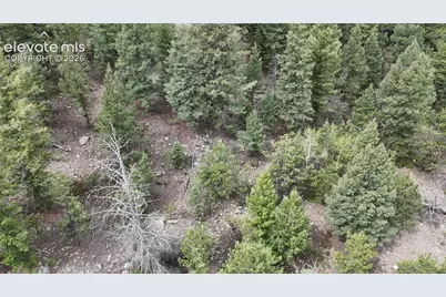 4943 County Road 11, Florissant, CO 80816 - Photo 4