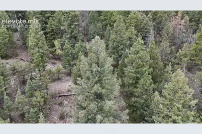 4943 County Road 11, Florissant, CO 80816 - Photo 6