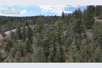 4943 County Road 11, Florissant, CO 80816 - Photo 12