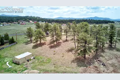 13599 County Road 1, Florissant, CO 80816 - Photo 30