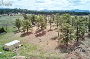 13599 Co Rd 1, Florissant, CO 80816 - Photo 30