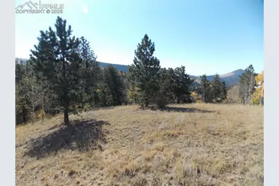 1944 May Queen Drive, Cripple Creek, CO 80813 - Photo 4