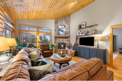1366 Vagabond Creek Drive, Lake George, CO 80827 - Photo 10