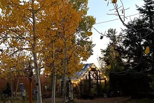 1366 Vagabond Creek Dr, Lake George, CO 80827 - Photo 24