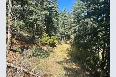 270 Upper Sun Valley Road, Manitou Springs, CO 80829 - Photo 8