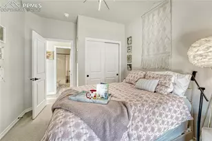 4562 Horse Gulch Loop, Colorado Springs, CO 80924 - Photo 26