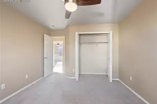 9979 Rose Leaf Ct, Colorado Springs, CO 80920 - Photo 30