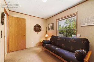 9525 S Hwy 67, Divide, CO 80814 - Photo 20