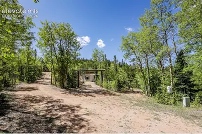 9525 S Highway 67, Divide, CO 80814 - Photo 30