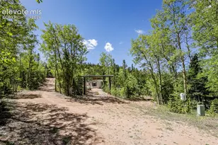 9525 S Hwy 67, Divide, CO 80814 - Photo 30
