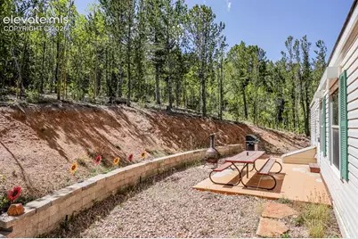 9525 S Highway 67, Divide, CO 80814 - Photo 22
