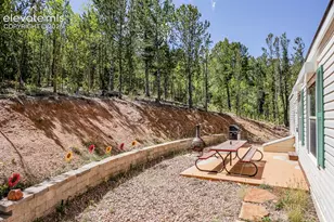 9525 S Hwy 67, Divide, CO 80814 - Photo 22