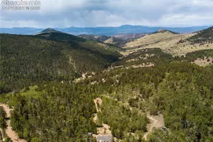 9525 S Hwy 67, Divide, CO 80814 - Photo 38