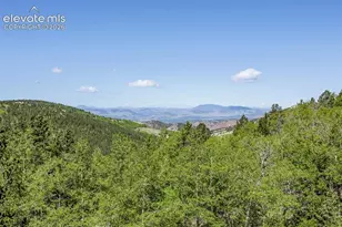 9525 S Hwy 67, Divide, CO 80814 - Photo 6