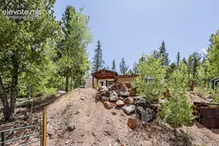 9525 S Hwy 67, Divide, CO 80814 - Photo 28