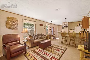 9525 S Hwy 67, Divide, CO 80814 - Photo 8