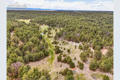 10655 Hardy Road, Colorado Springs, CO 80908 - Photo 28