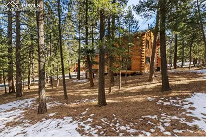 1325 Spruce Ridge Lane, Woodland Park, CO 80863 - Photo 44