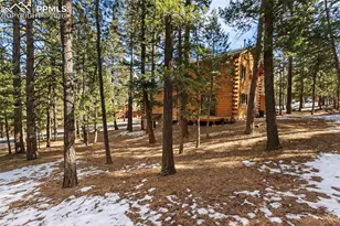 1325 Spruce Ridge Ln, Woodland Park, CO 80863 - Photo 44