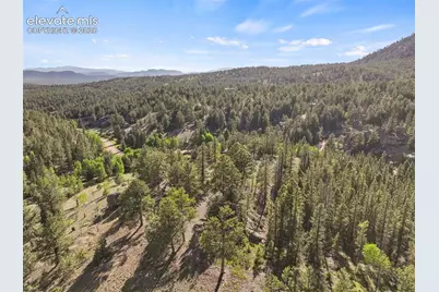 658 Conestoga Creek Road, Florissant, CO 80816 - Photo 48