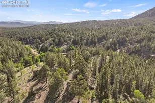 658 Conestoga Creek Rd, Florissant, CO 80816 - Photo 48