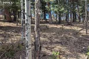 924 Will Scarlet Dr, Divide, CO 80814 - Photo 1