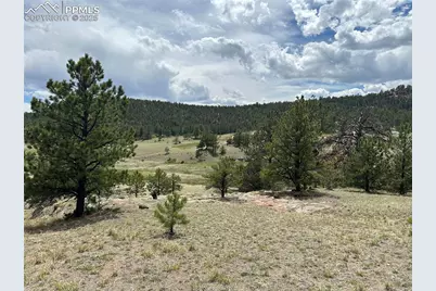 2332 County Road, Florissant, CO 80816 - Photo 8