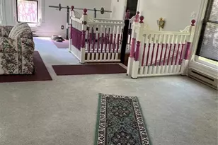 500 Pinon Lake Dr, Divide, CO 80814 - Photo 22