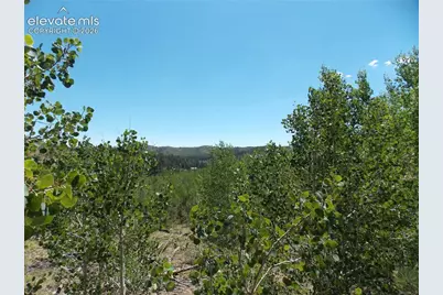 615 Valley Drive, Florissant, CO 80816 - Photo 1