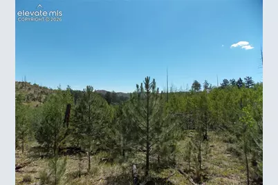 615 Valley Drive, Florissant, CO 80816 - Photo 6