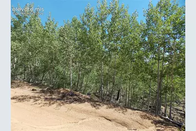 615 Valley Drive, Florissant, CO 80816 - Photo 2