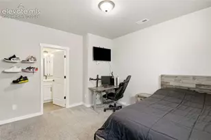 10062 Antelope Ravine Dr, Colorado Springs, CO 80908 - Photo 36
