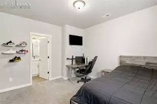 10062 Antelope Ravine Dr, Colorado Springs, CO 80908 - Photo 34