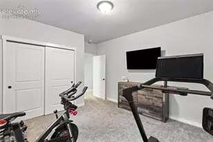 10062 Antelope Ravine Dr, Colorado Springs, CO 80908 - Photo 44