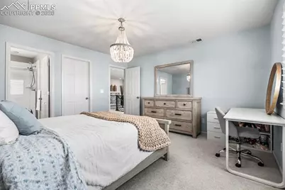 5803 Leon Young Drive, Colorado Springs, CO 80924 - Photo 26