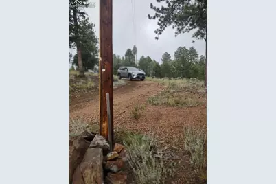 1176 Trail Creek Road, Lake George, CO 80827 - Photo 48