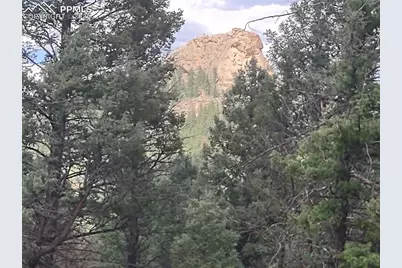 1176 Trail Creek Road, Lake George, CO 80827 - Photo 2