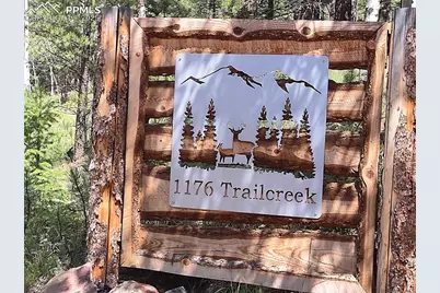 1176 Trail Creek Road, Lake George, CO 80827 - Photo 4