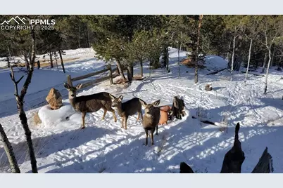 47 Aspen Road, Woodland Park, CO 80863 - Photo 36