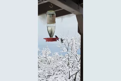 47 Aspen Road, Woodland Park, CO 80863 - Photo 38