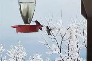 47 Aspen Rd, Woodland Park, CO 80863 - Photo 38