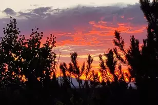 47 Aspen Rd, Woodland Park, CO 80863 - Photo 40